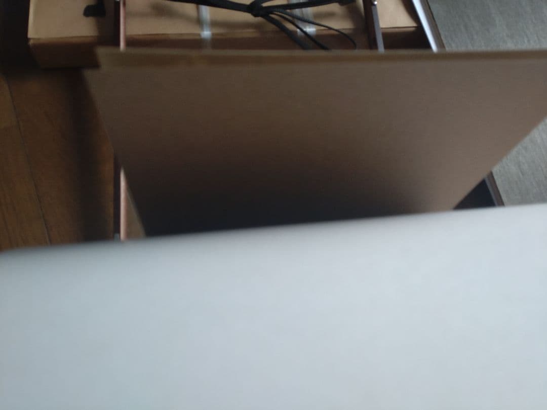 てっさい堂　唐絵