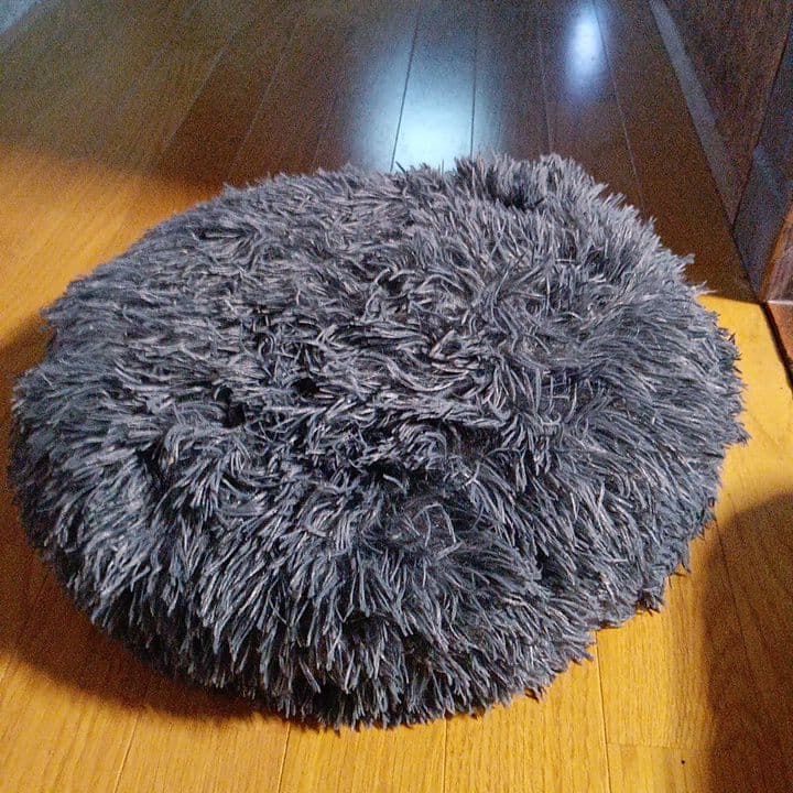 ペット用品まとめ売り