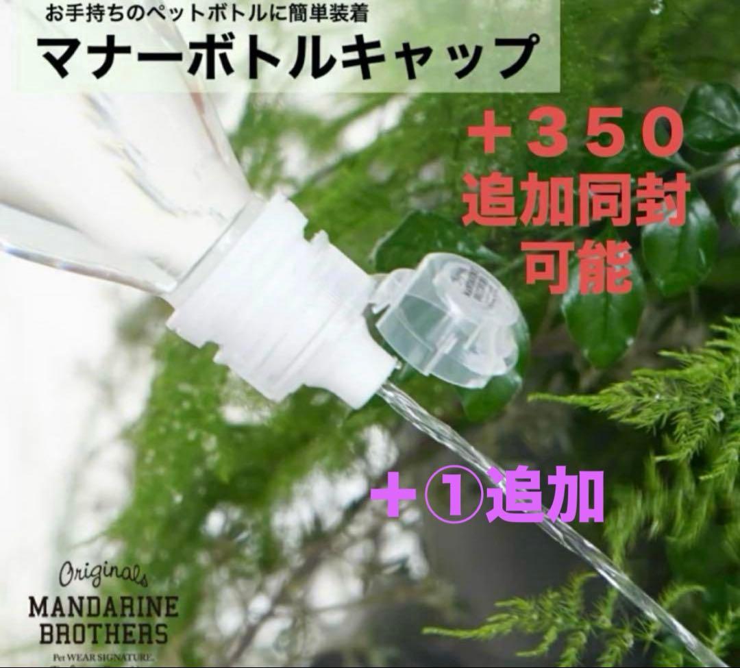 メリッサベストラテM①ミントS①ボトルキャップ①