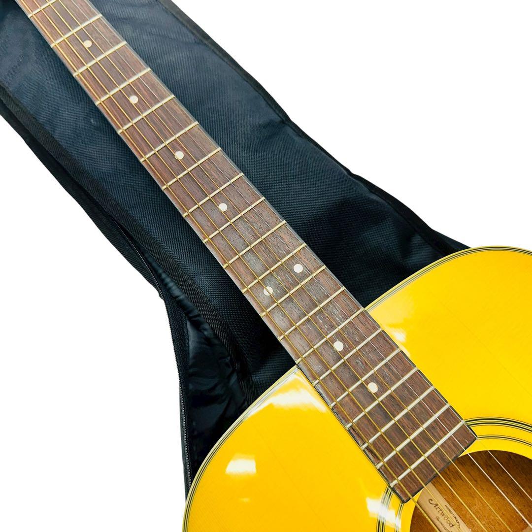 ibanez アコースティックギター　artwood AW-10