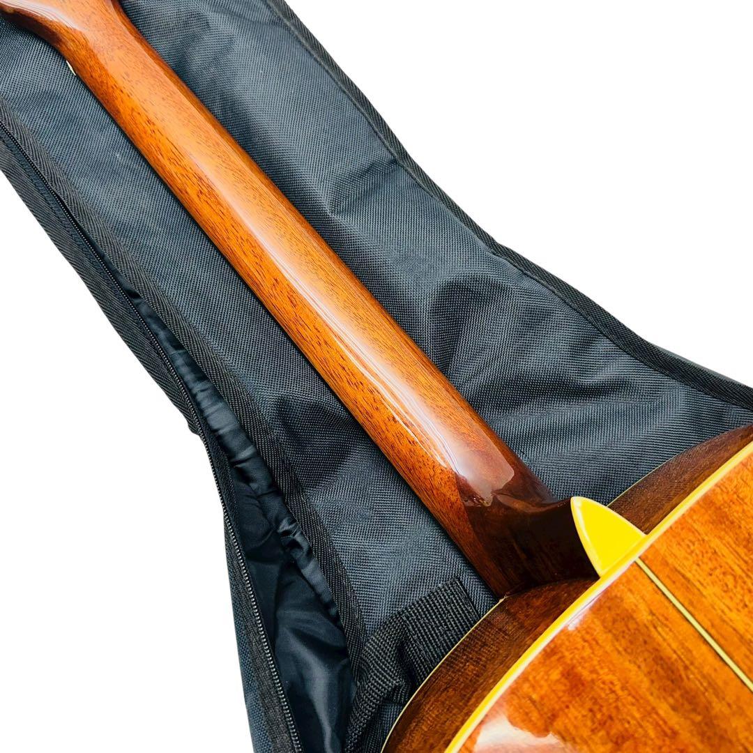 ibanez アコースティックギター　artwood AW-10