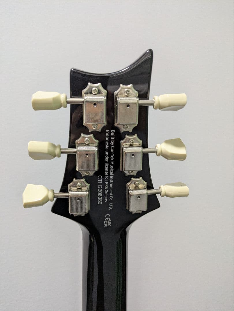 Paul Reed Smith McCarty 594 SE ギター