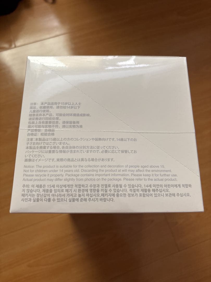 【即日発送】 POPMART LABUBU Big into Energy