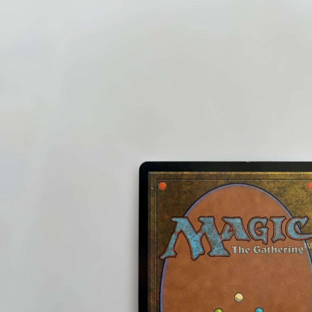 迫害　FOIL 日本語　マジックザギャザリング　MTG