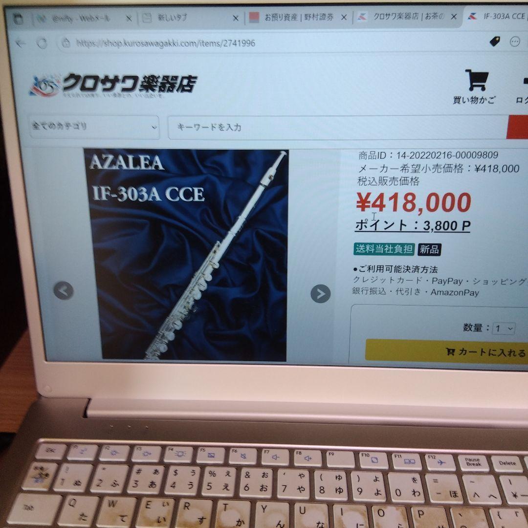 イワオフルート管体銀Eメカ　分解磨き調整済　新品購入後5年未満新品価格の4分の1