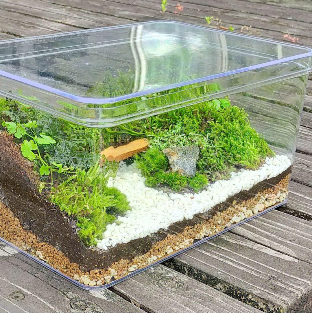 少年くんページ