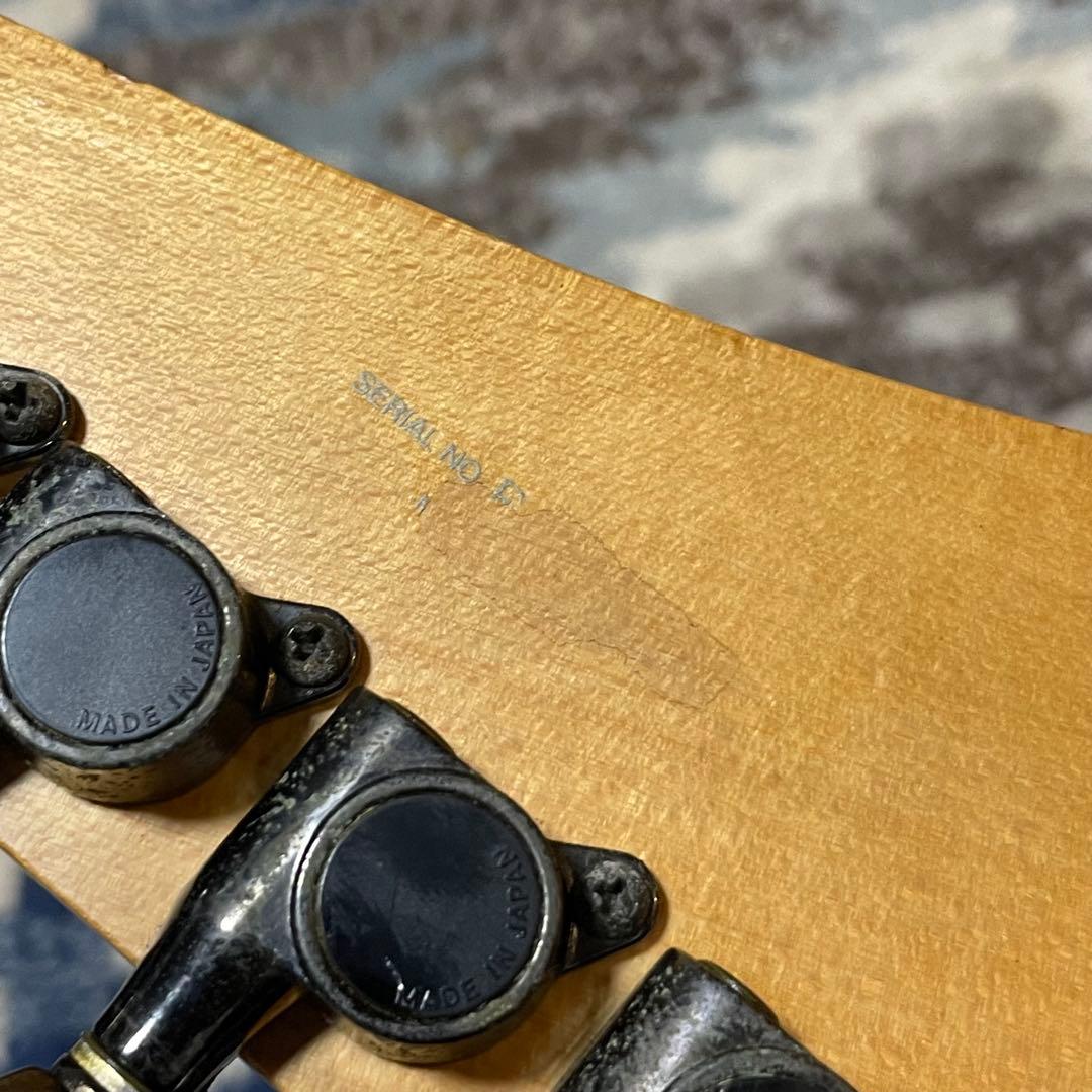 Ibanez PGM300 Paul Gilbert Dimarzio 日本製