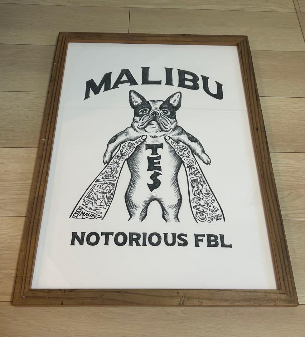 The endless summer グラフィック