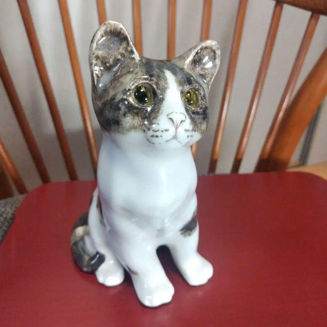 ウィンスタンレイキャット（ケンジントンキャット）ハチワレの子猫、サイズ3