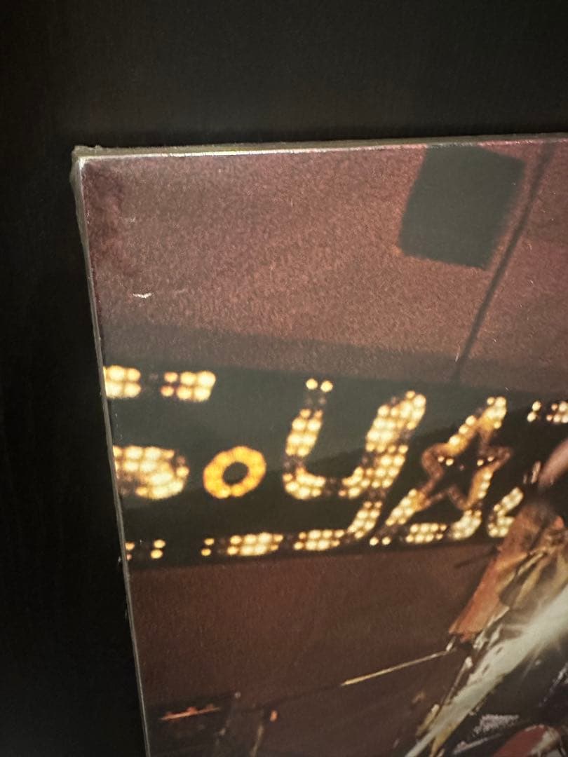 ★レア★ 矢沢永吉　木製パネル