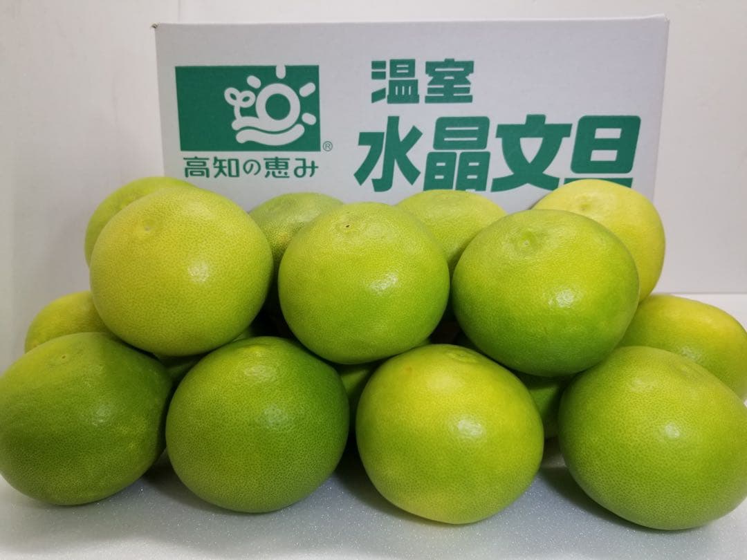 高知産　水晶文旦 約9キロ　ご家庭用