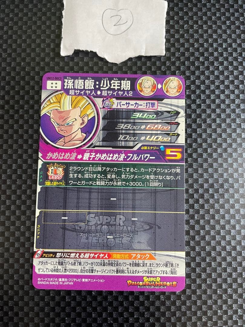 UM12-SEC3 孫悟飯：少年期②