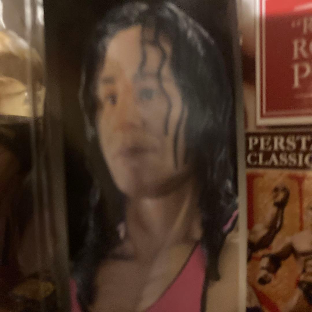 ヒットマン・ブレット・ハート　WWEクラシックスーパースター