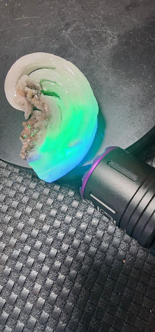 レア●蛍光羊の角セレナイト標本　２セット