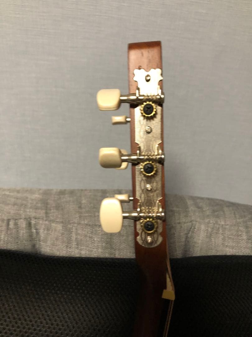 アリアARIA ASA-18N miniギター　ニューヨーカースリムボディタイプ