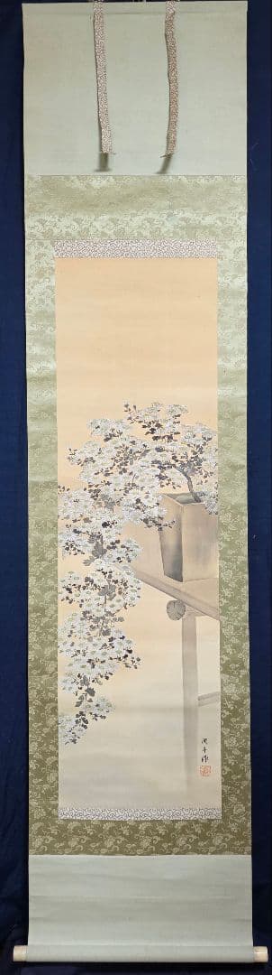 【枝垂れ白菊図】周平 2724 掛け軸 肉筆