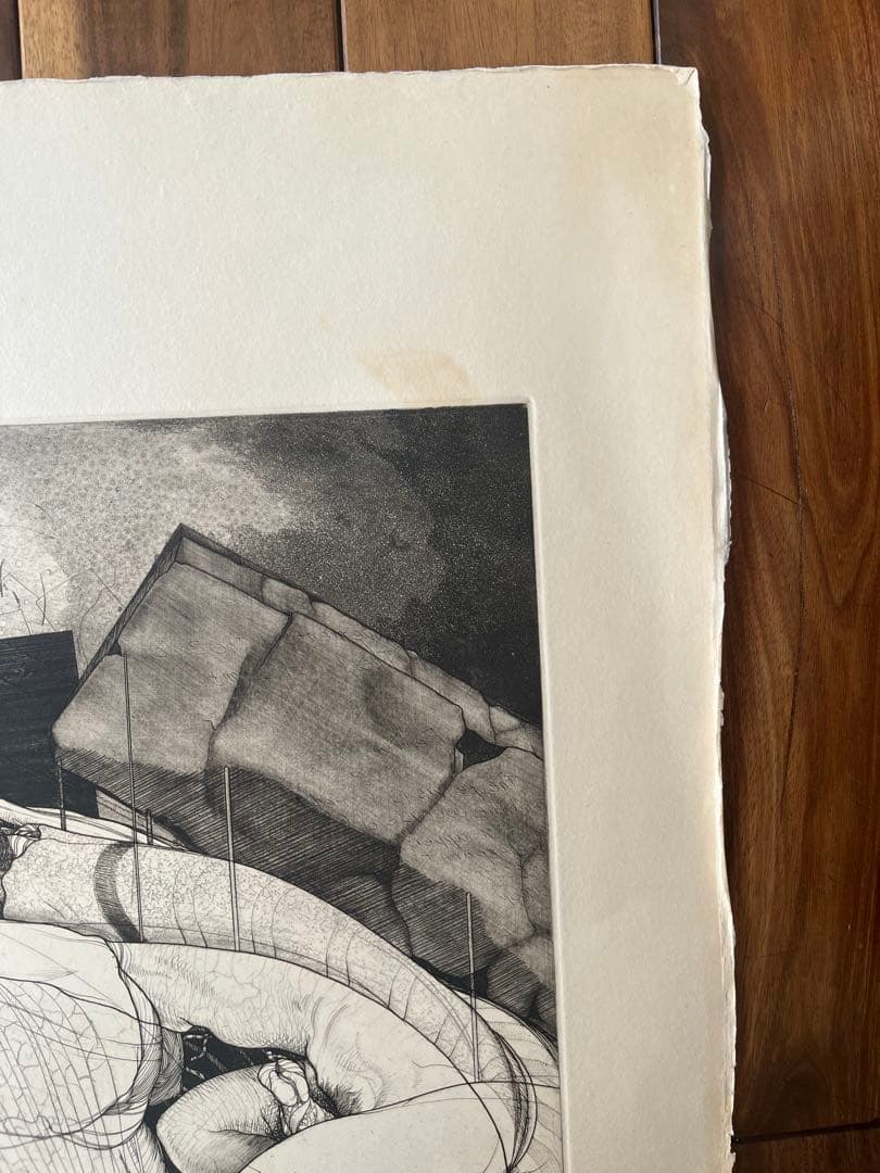 多賀新☆連結器W88