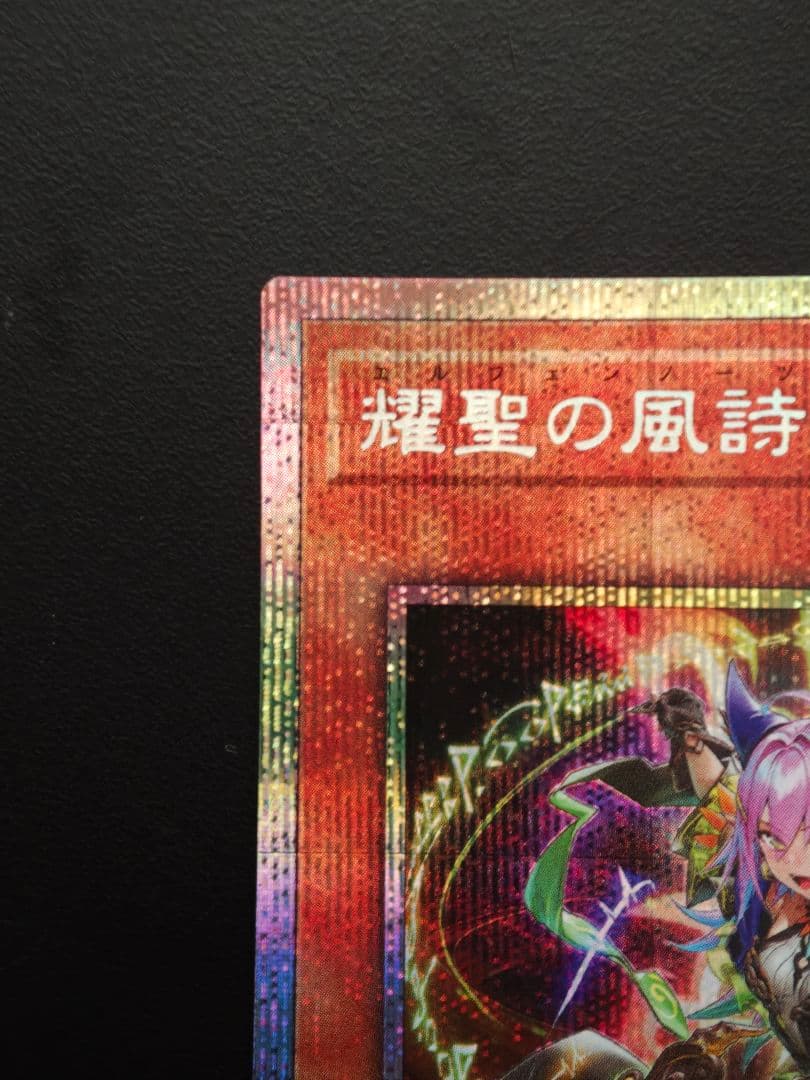 エルフェンノーツ　レギナ プリシク