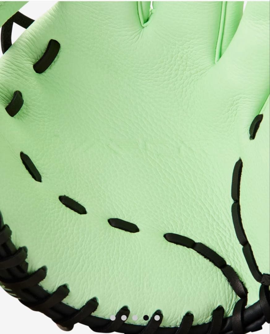 新品 ナイキ 野球グローブ NIKE Vapor Fielding Glove