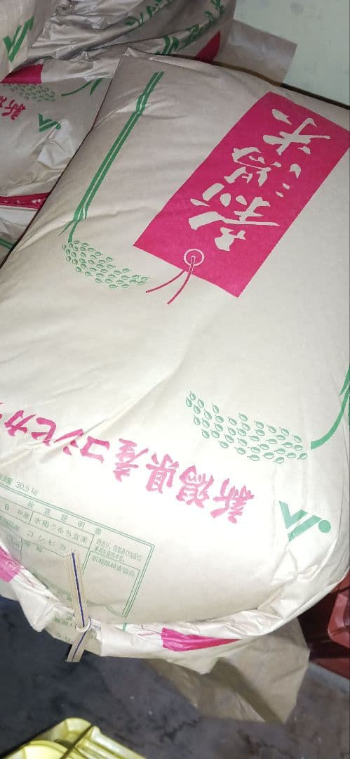 R6年度米　新潟県産こしひかり20kg