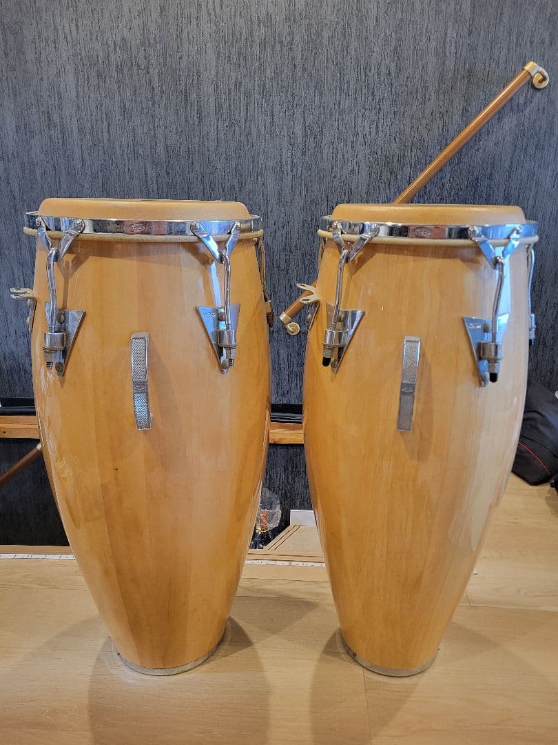 最終値引き！CPコンガ 　2本セット