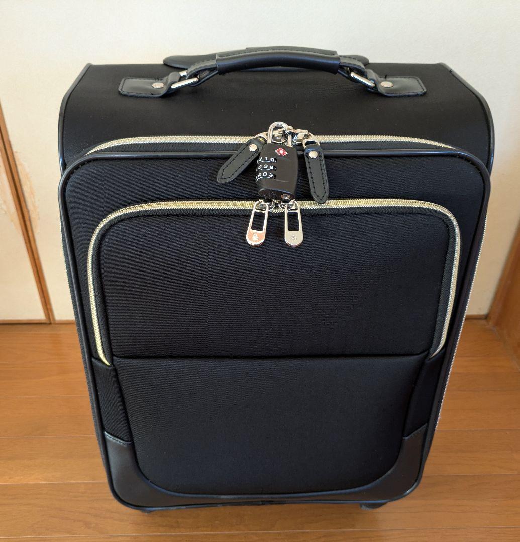 ✩ace✩ソフトキャリーグリッテリー