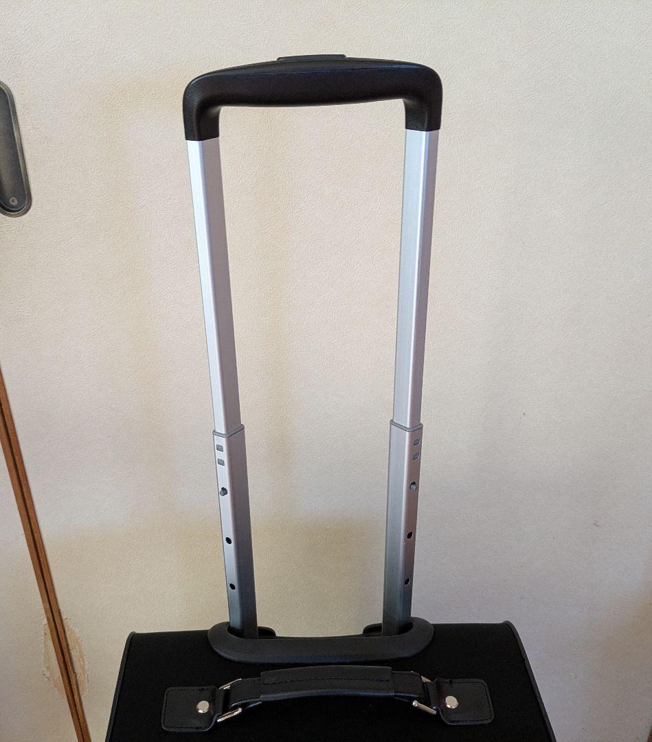 ✩ace✩ソフトキャリーグリッテリー