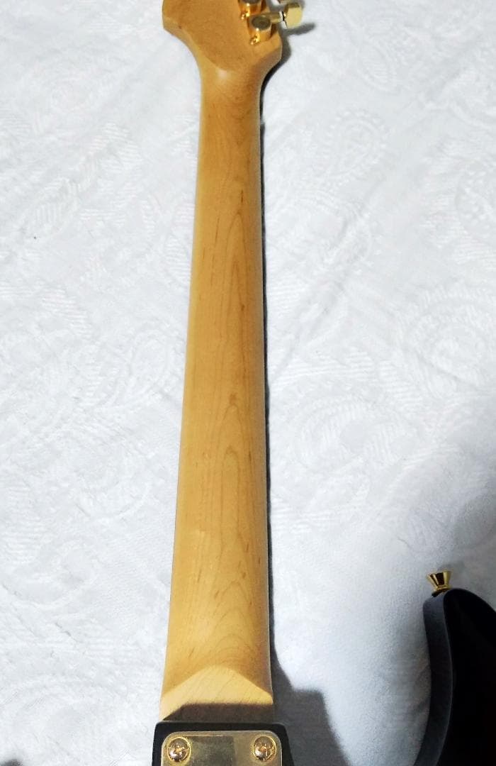 Anboy（フジゲン）AN-25 状態良好・メンテ調整済で演奏コンディション良好