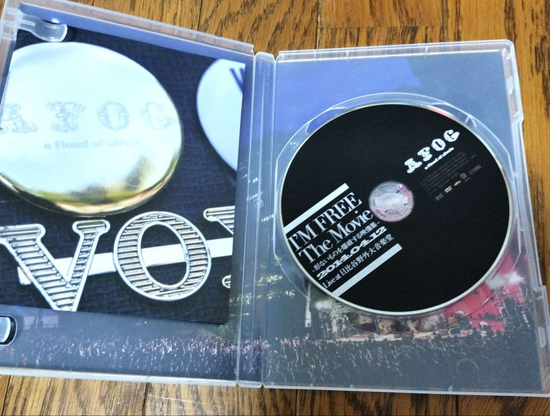 a flood of circle DVD3点 Tシャツ