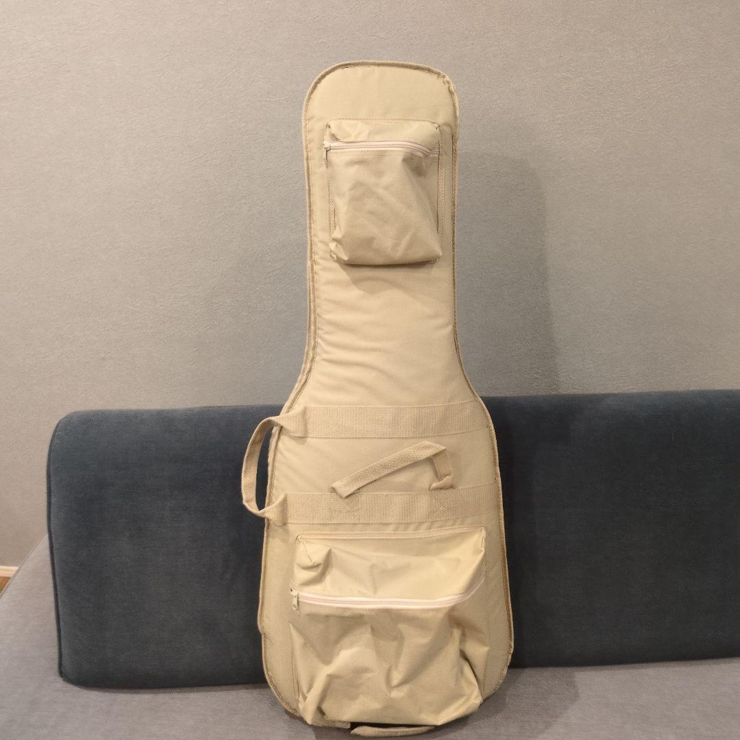 ギター VanZandt STV-R2