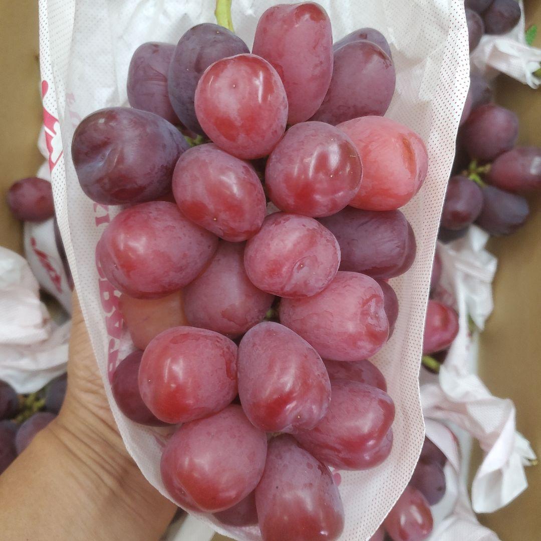 1⃣1⃣ 山梨県産 富士の輝 ８房入り 箱込み5.7キロ