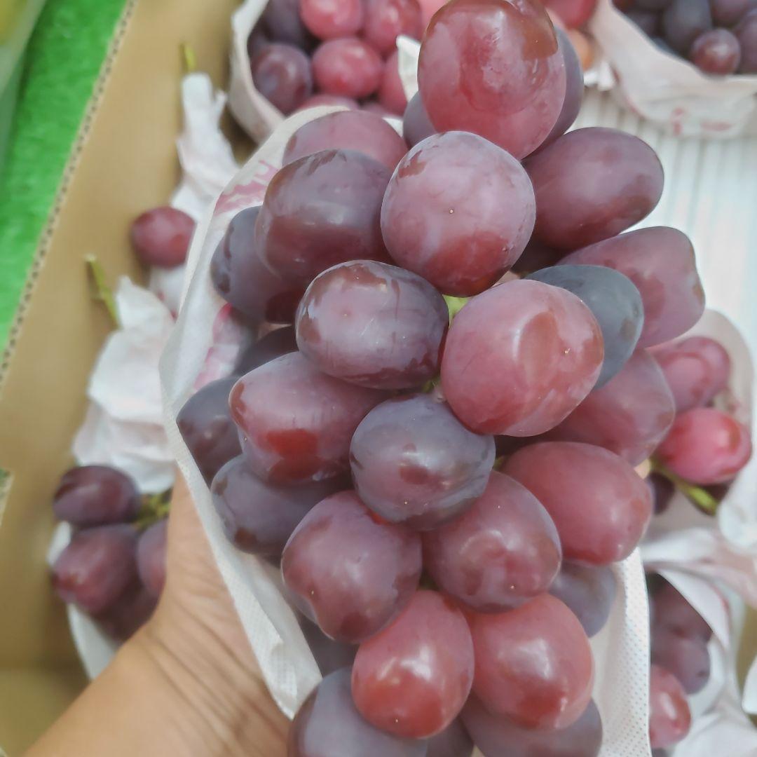 1⃣1⃣ 山梨県産 富士の輝 ８房入り 箱込み5.7キロ