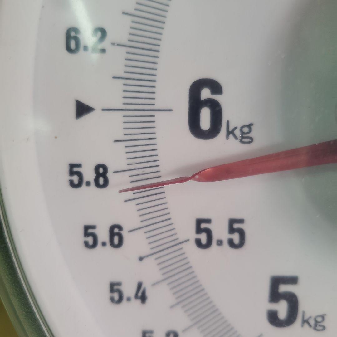 1⃣1⃣ 山梨県産 富士の輝 ８房入り 箱込み5.7キロ