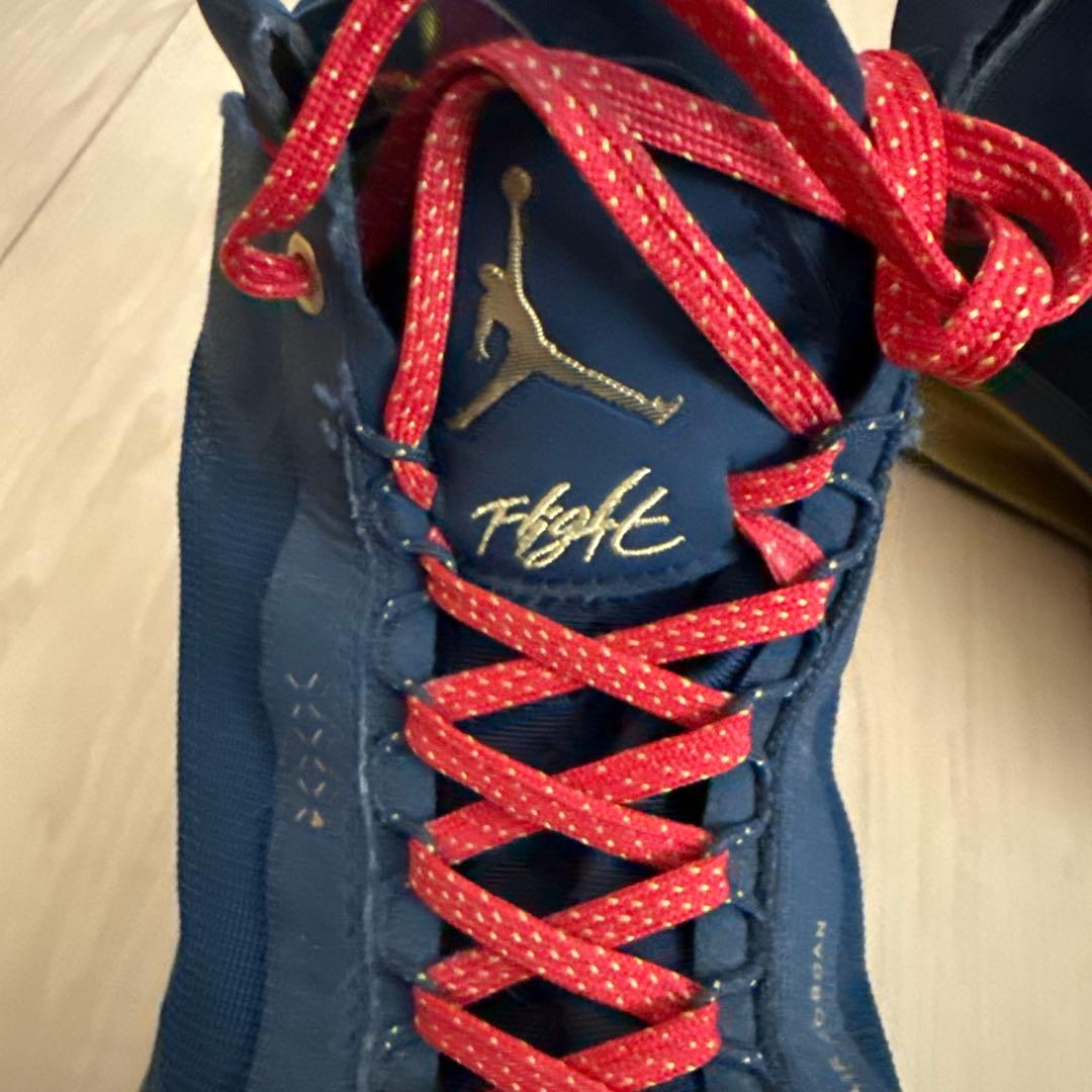 【限定品】ナイキ エアジョーダン34 PE バイユーボーイズ ザイオン 28cm