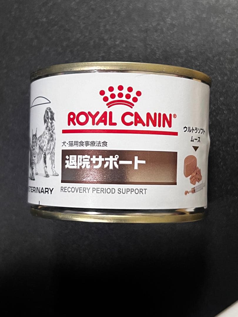  CANIN 退院サポート ウェットフード 11個