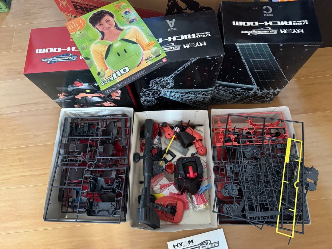 ロボット MS-09RS RICK-DOMCHAR'SCUSTOMIZE TYPE1/60