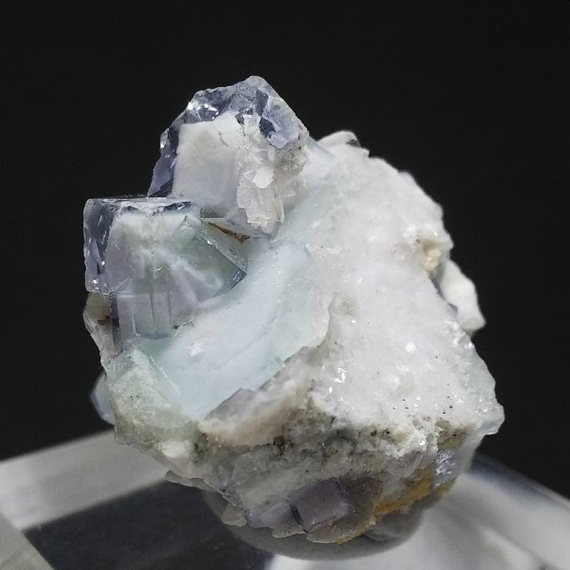 329 ポーセリンフローライト