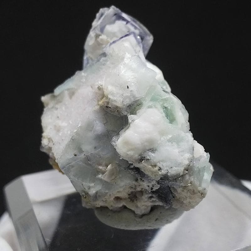 329 ポーセリンフローライト