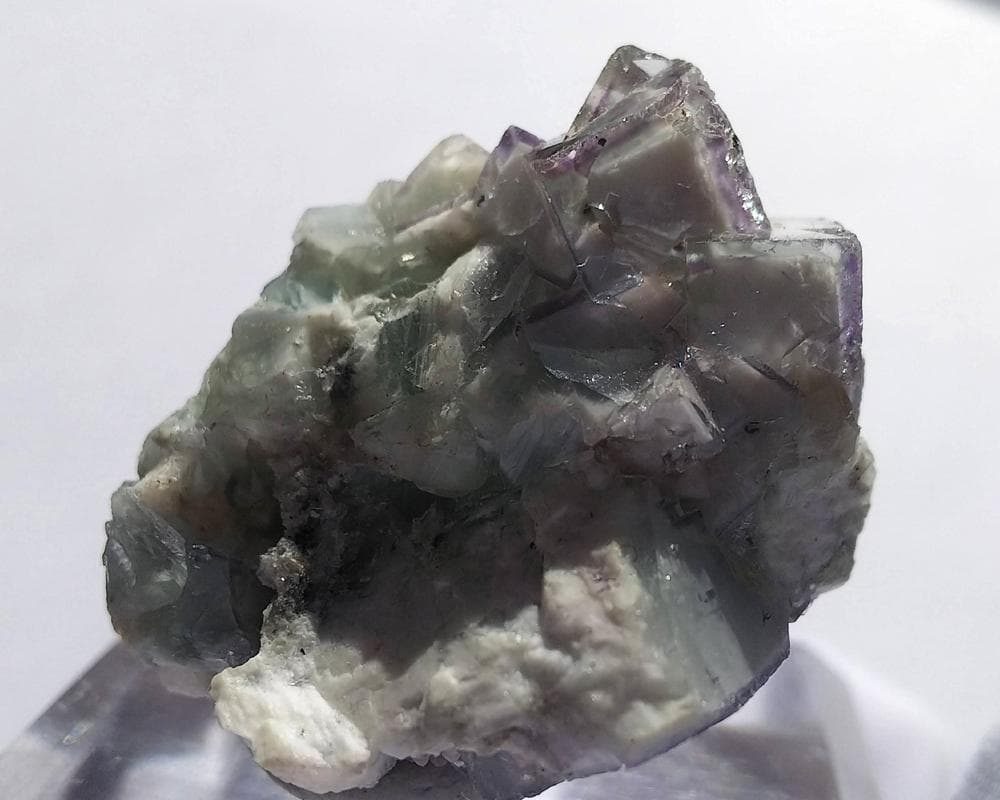 329 ポーセリンフローライト