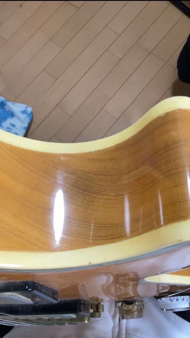 ＊値下げ中＊【ジャパンビンテージ】Burny レスポールタイプ 世界に1本！？