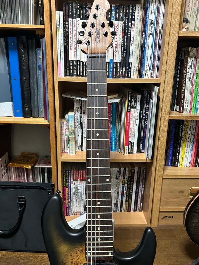 Sterling Richardson7 7弦ギター リチャードソン7