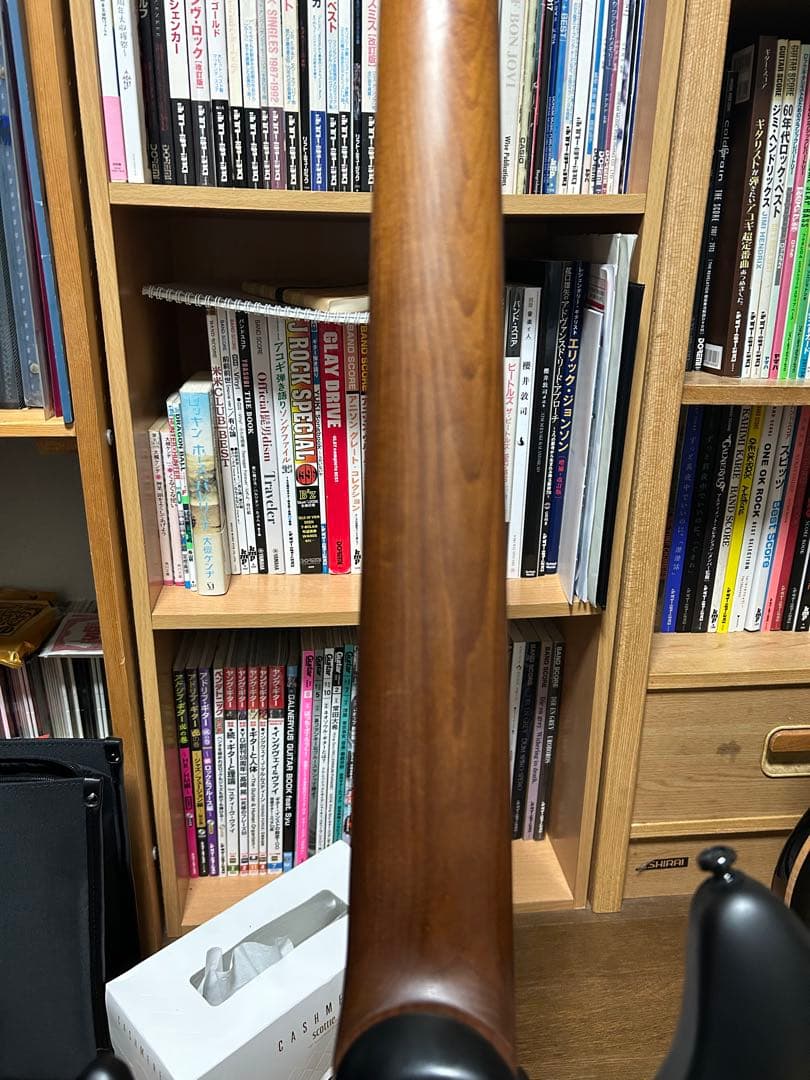 Sterling Richardson7 7弦ギター リチャードソン7