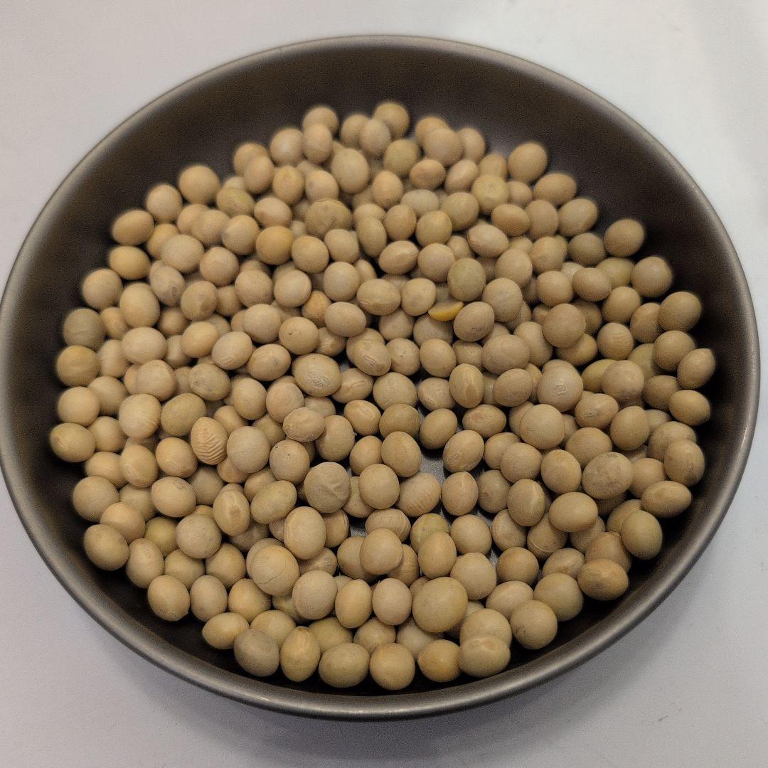 令和5年産　新潟県産 里のほほえみ 大粒特定選別品　30キロ