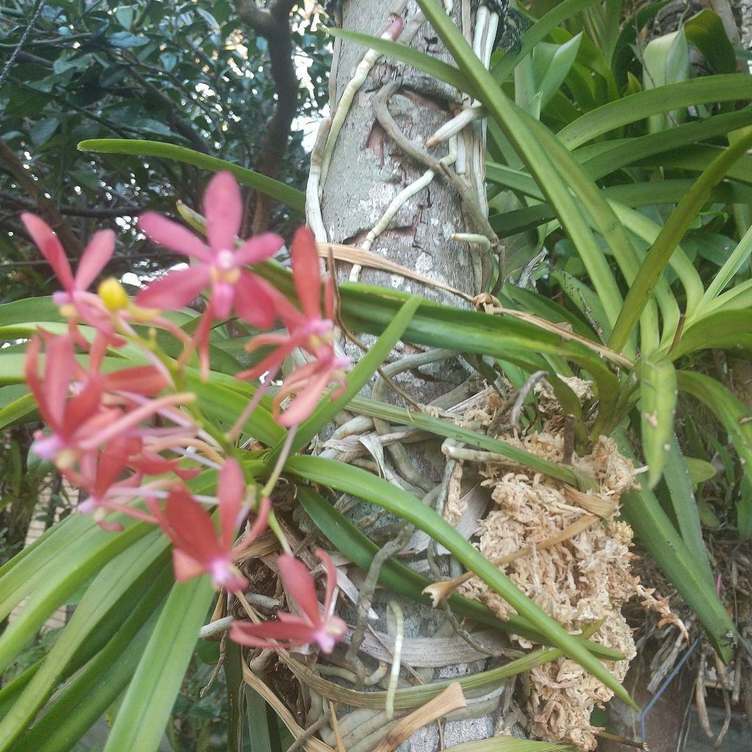 【唐津焼】片口　中川恭平