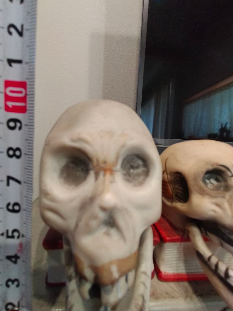 50s 10cm スカルオンブック　スカル　ドクロ　ビンテージ