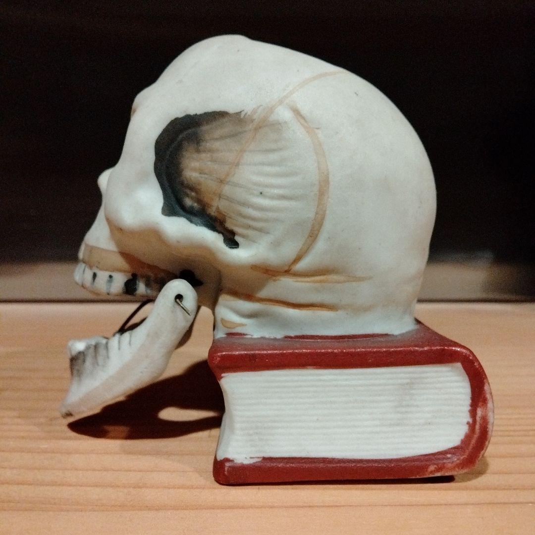 50s 10cm スカルオンブック　スカル　ドクロ　ビンテージ