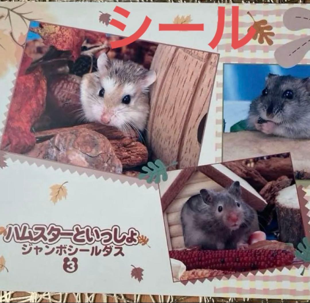 ハムスターといっしょシール1〜6.8〜12 11枚　平成女児　平成レトロ　レア