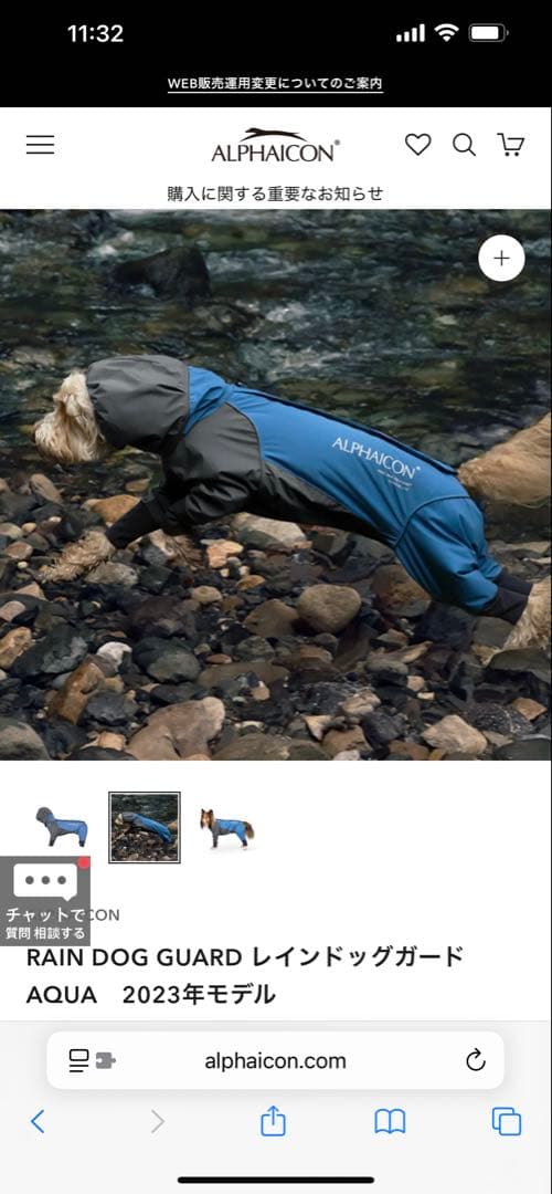 アルファアイコン　RAIN DOG GUARD AQUA 2023年モデル