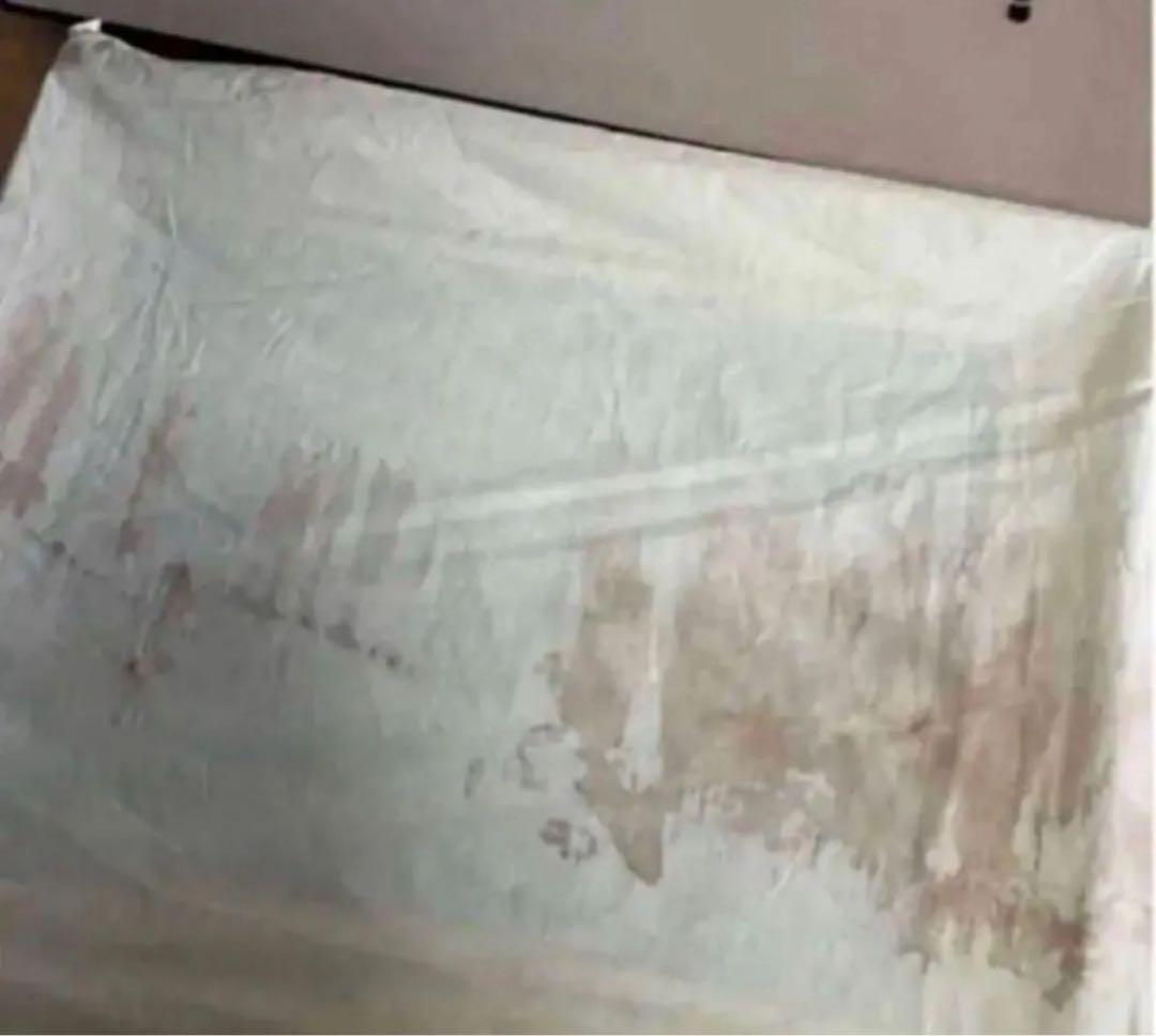 文化勲章受章作家　複製画　美品　東山魁夷　潮聲　絵画 絵画 風景画 美術品