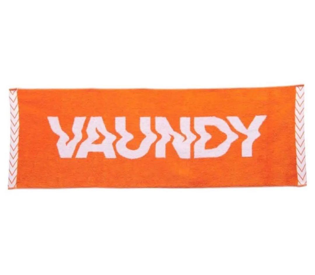 Vaundy ライブグッズ タオル　キーホルダー　ポスター　完売品　レア